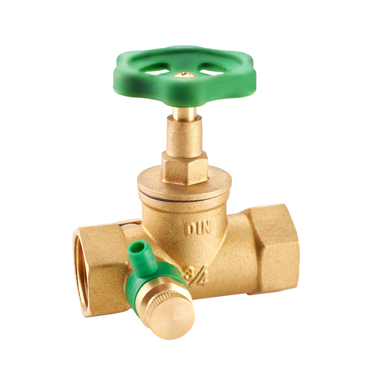 SL90901 Gate Valve with Strainer